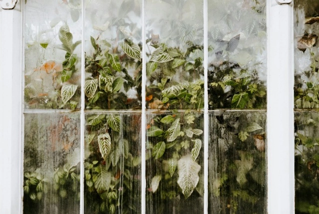 Dust on Greenhouse